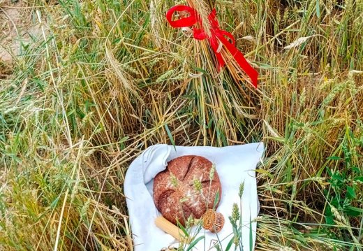 Свята  «Дажынкі»